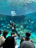 沖縄美ら海水族館に投稿された画像（2026/10/12）