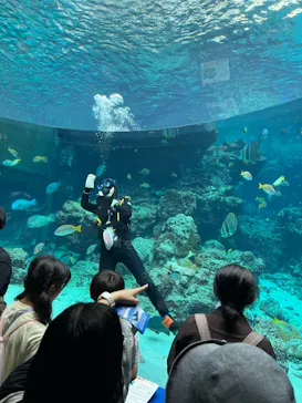 沖縄美ら海水族館に投稿された画像（2026/10/12）