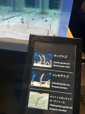 すみだ水族館に投稿された画像（2026/10/12）