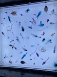 アクアワールド茨城県大洗水族館に投稿された画像（2026/10/12）