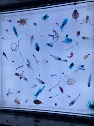 アクアワールド茨城県大洗水族館に投稿された画像（2026/10/12）