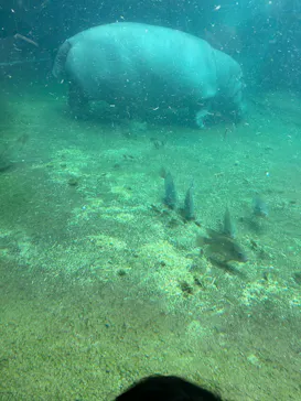 天王寺動物園に投稿された画像（2026/10/12）