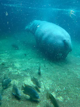 天王寺動物園に投稿された画像（2026/10/12）