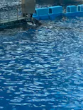 名古屋港水族館に投稿された画像（2026/10/12）