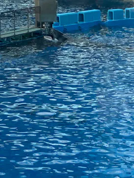 名古屋港水族館に投稿された画像（2026/10/12）