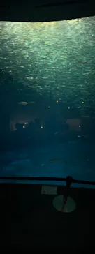 名古屋港水族館に投稿された画像（2026/10/12）