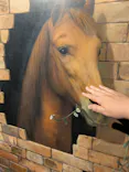 深山峠アートパークに投稿された画像（2026/10/12）