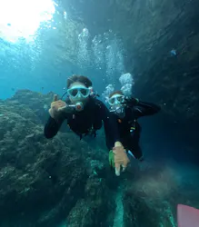 DIVING-SHOP SUNSに投稿された画像（2026/10/12）
