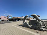 アクアワールド茨城県大洗水族館に投稿された画像（2026/10/12）