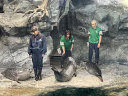 アクアワールド茨城県大洗水族館に投稿された画像（2026/10/12）