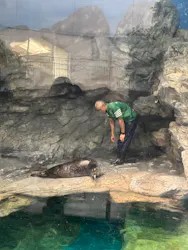 アクアワールド茨城県大洗水族館に投稿された画像（2026/10/12）
