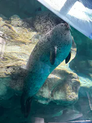 アクアワールド茨城県大洗水族館に投稿された画像（2026/10/12）