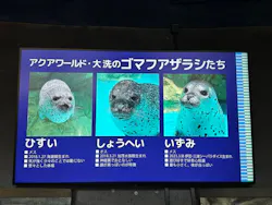 アクアワールド茨城県大洗水族館に投稿された画像（2026/10/12）