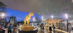 福井県立恐竜博物館に投稿された画像（2026/10/12）