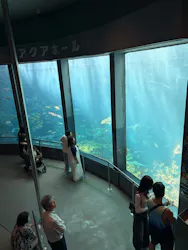 下田海中水族館に投稿された画像（2026/10/12）