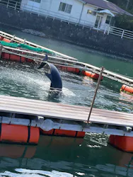 下田海中水族館に投稿された画像（2026/10/12）