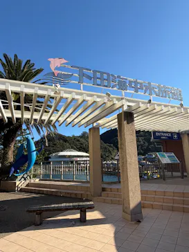 下田海中水族館に投稿された画像（2026/10/12）