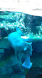 天王寺動物園に投稿された画像（2026/10/12）