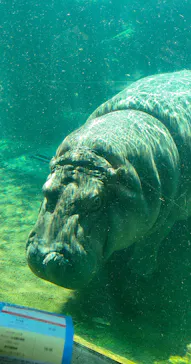 天王寺動物園に投稿された画像（2026/10/12）