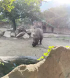 天王寺動物園に投稿された画像（2026/10/12）