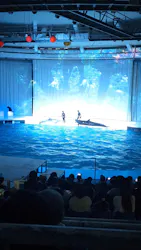アクアワールド茨城県大洗水族館に投稿された画像（2026/10/12）