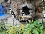 サンシャイン水族館に投稿された画像（2026/10/12）