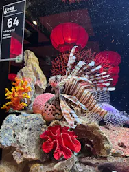 横浜開運水族館 フォーチュンアクアリウムに投稿された画像（2026/10/12）