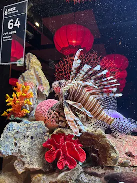 横浜開運水族館 フォーチュンアクアリウムに投稿された画像（2026/10/12）