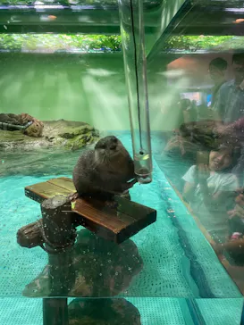 しながわ水族館に投稿された画像（2026/10/12）