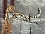 東武動物公園に投稿された画像（2026/10/13）