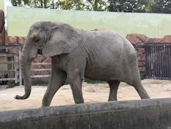 東武動物公園に投稿された画像（2026/10/12）