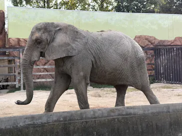 東武動物公園に投稿された画像（2026/10/12）