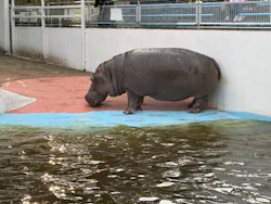 東武動物公園に投稿された画像（2026/10/12）