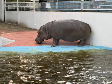 東武動物公園に投稿された画像（2026/10/12）