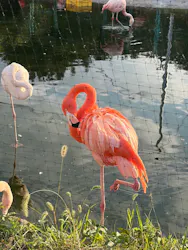 東武動物公園に投稿された画像（2026/10/12）