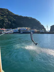 下田海中水族館に投稿された画像（2026/10/12）