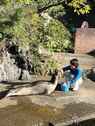 下田海中水族館に投稿された画像（2026/10/12）