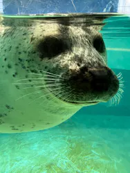 下田海中水族館に投稿された画像（2026/10/12）