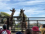 宇都宮動物園に投稿された画像（2026/10/13）