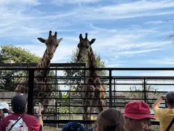 宇都宮動物園に投稿された画像（2026/10/12）