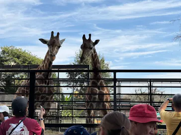 宇都宮動物園に投稿された画像（2026/10/12）