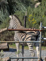 千葉市動物公園に投稿された画像（2026/10/12）