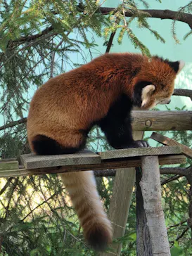 千葉市動物公園に投稿された画像（2026/10/12）
