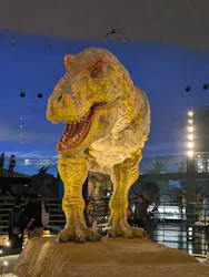 福井県立恐竜博物館に投稿された画像（2026/10/12）