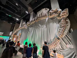 福井県立恐竜博物館に投稿された画像（2026/10/12）
