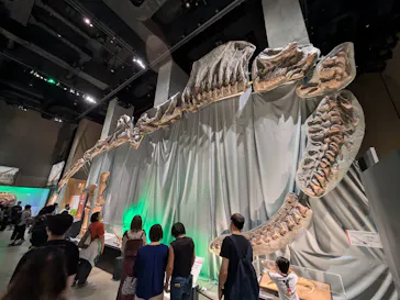 福井県立恐竜博物館に投稿された画像（2026/10/12）