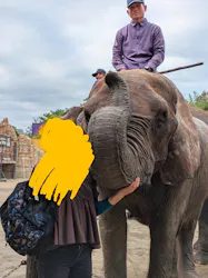 ANIMAL WONDER REZOURT 市原ぞうの国・サユリワールドに投稿された画像（2026/10/12）