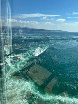 徳島県立 渦の道に投稿された画像（2026/10/12）