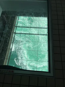 徳島県立 渦の道に投稿された画像（2026/10/12）