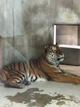 天王寺動物園に投稿された画像（2026/10/13）